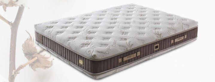 Paris Ultra Ortopedik AntiAlerjik 32cm 100*200 Gold Yatak